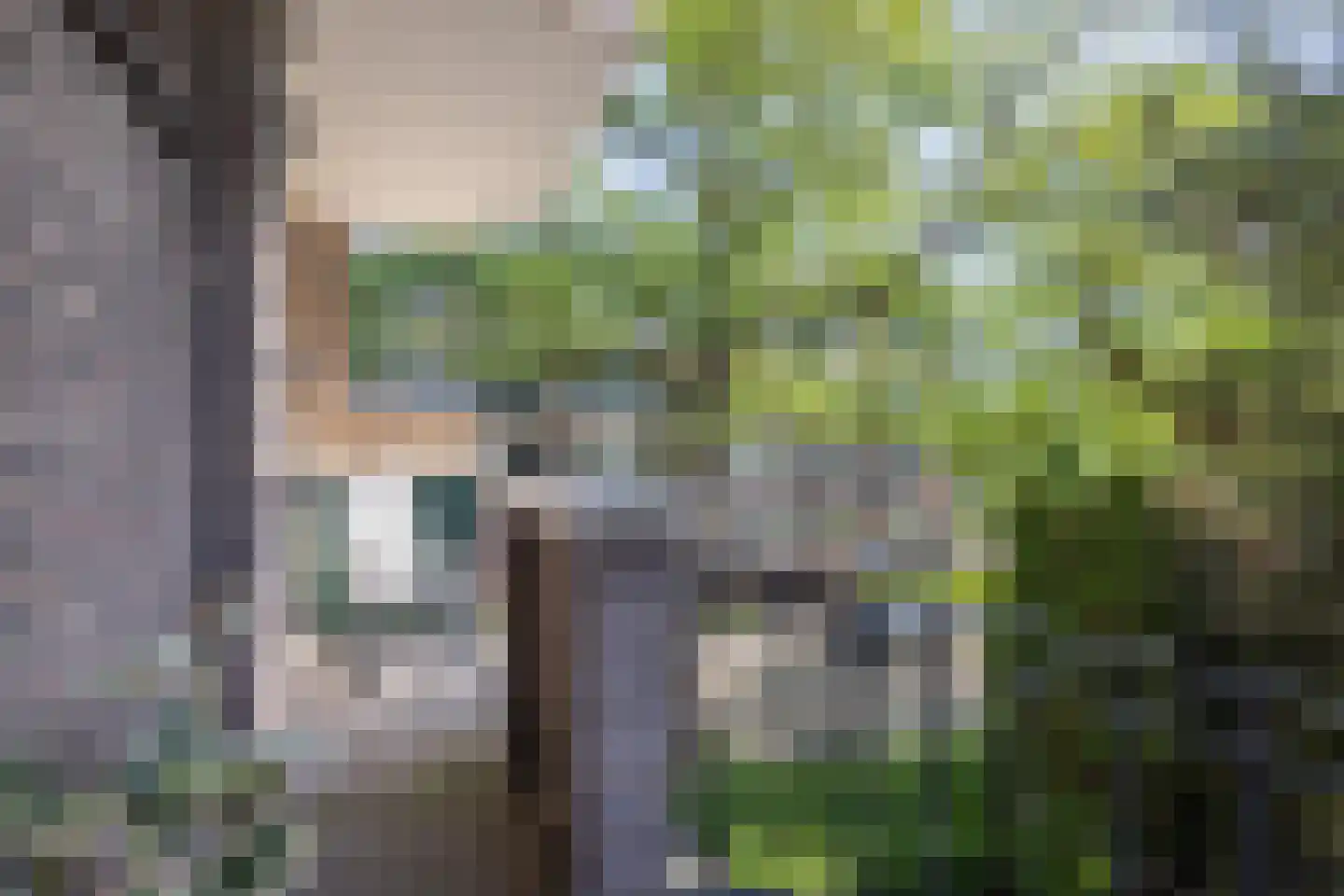 Karel de Grotelaan 309 Eindhoven thumbnail 24