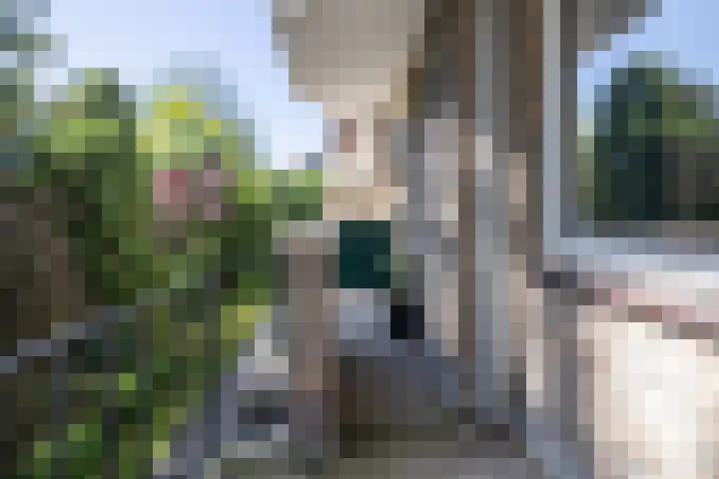 Karel de Grotelaan 309 Eindhoven thumbnail 29