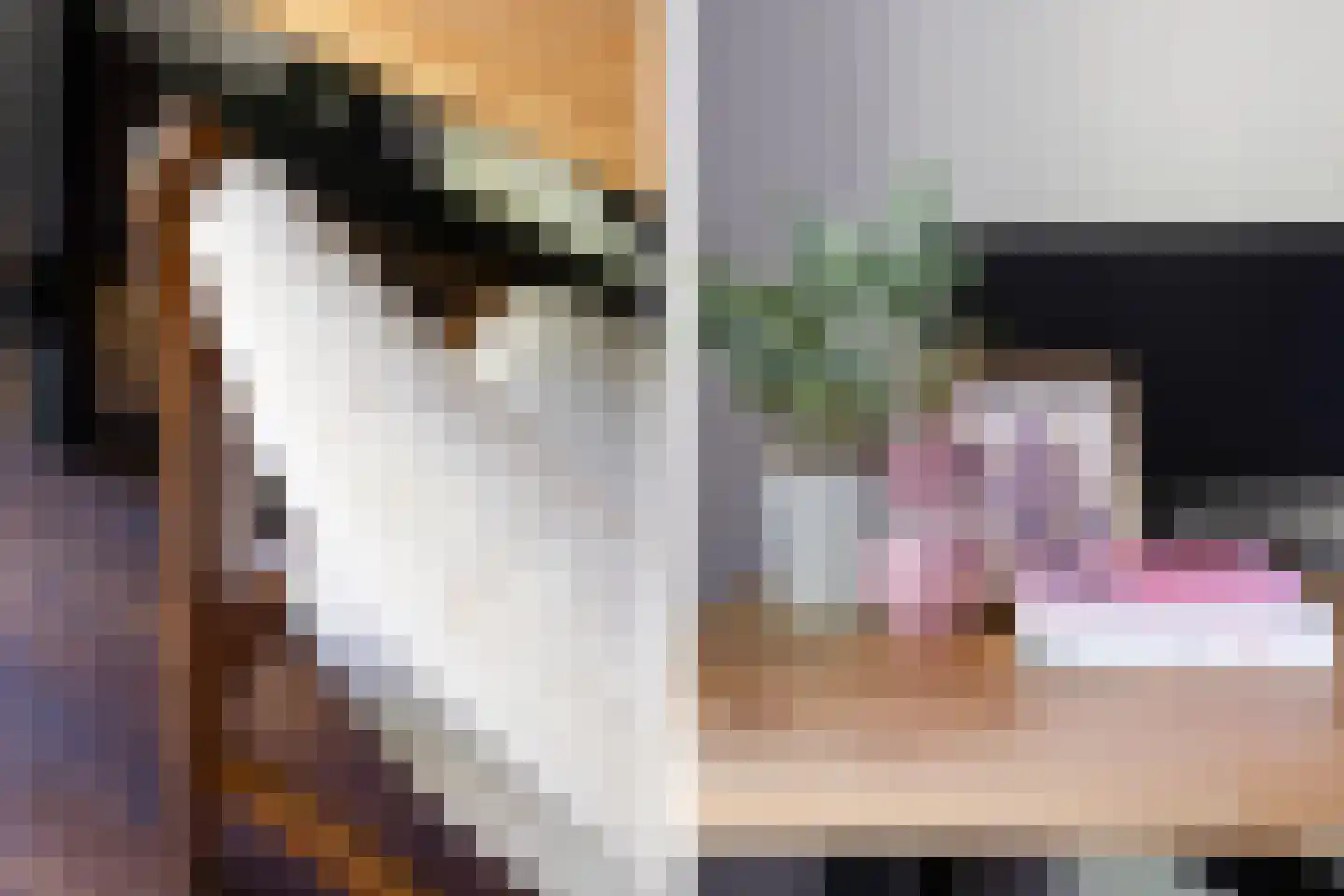 Karel de Grotelaan 309 Eindhoven thumbnail 34