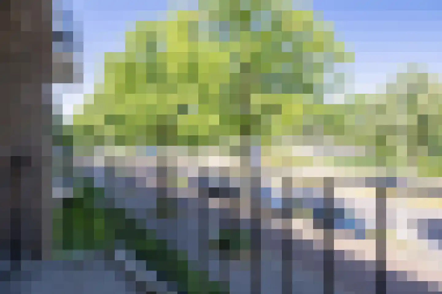 Karel de Grotelaan 309 Eindhoven thumbnail 36