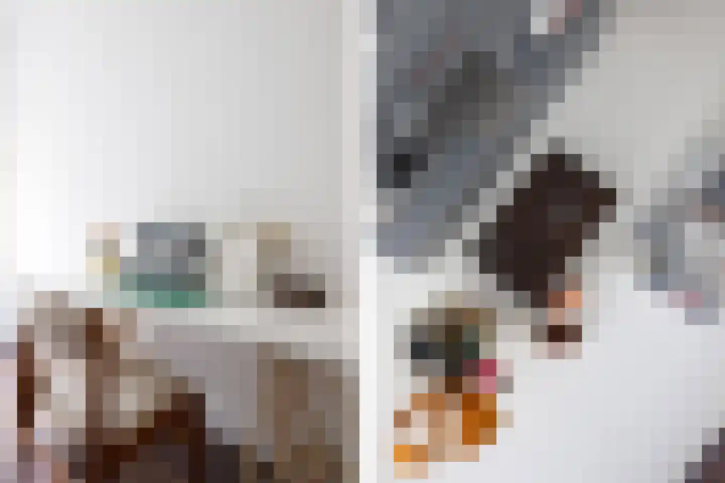 Karel de Grotelaan 309 Eindhoven thumbnail 38
