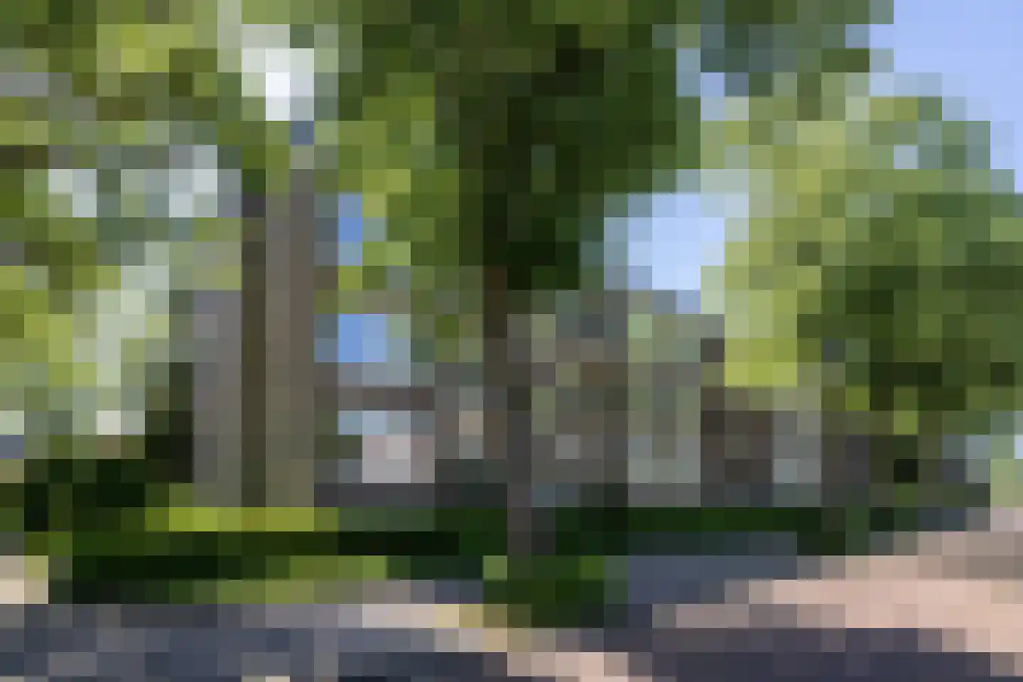 Karel de Grotelaan 309 Eindhoven thumbnail 40