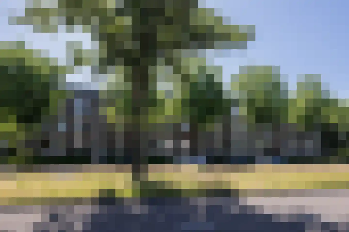 Karel de Grotelaan 309 Eindhoven thumbnail 42
