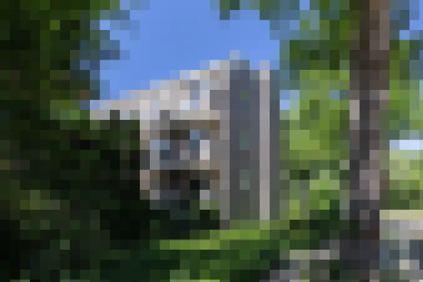 Karel de Grotelaan 309 Eindhoven thumbnail 43