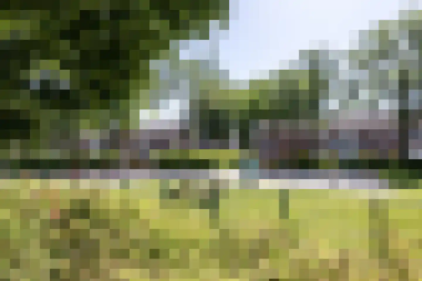 Karel de Grotelaan 309 Eindhoven thumbnail 46