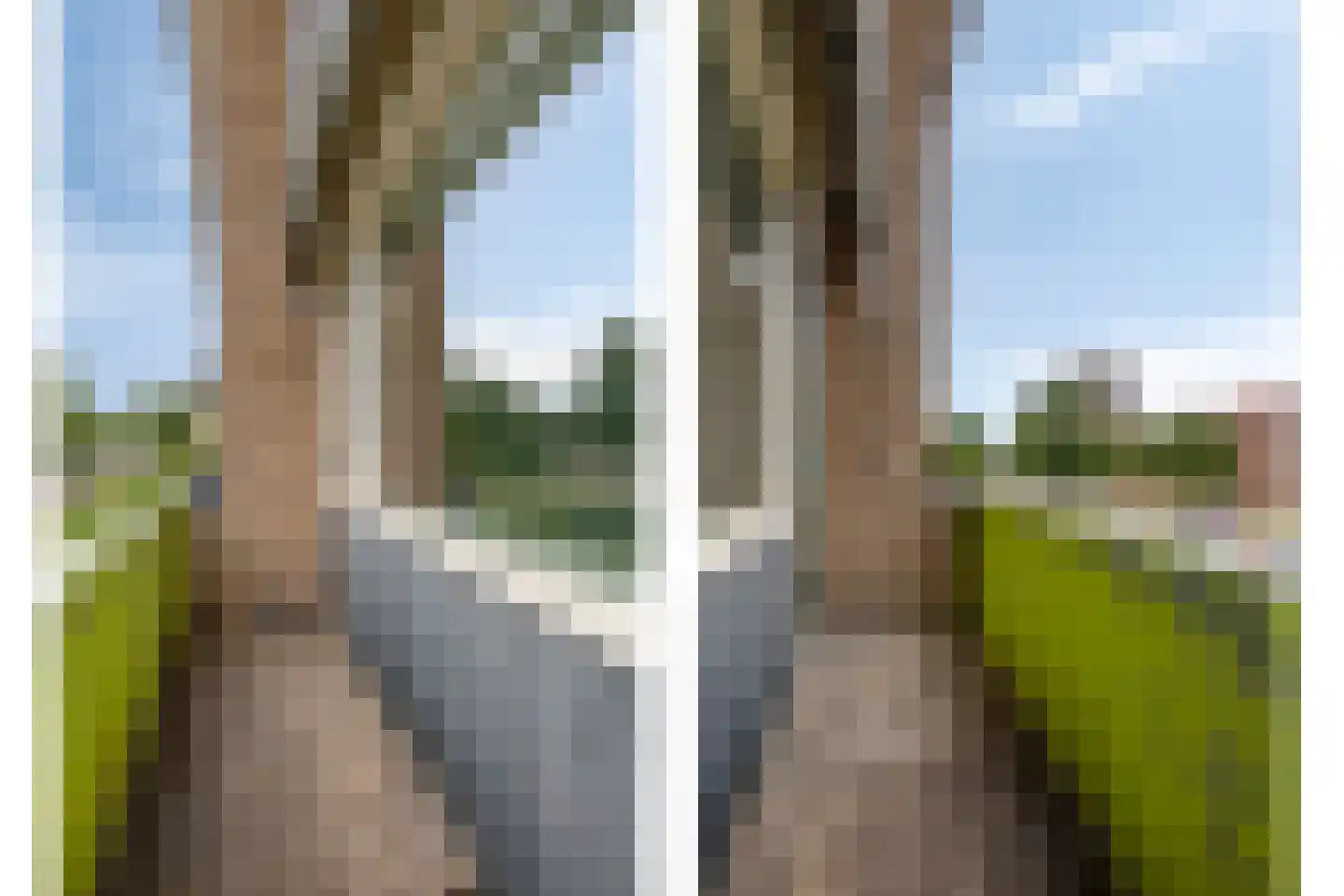 Karel de Grotelaan 315 Deventer thumbnail 11