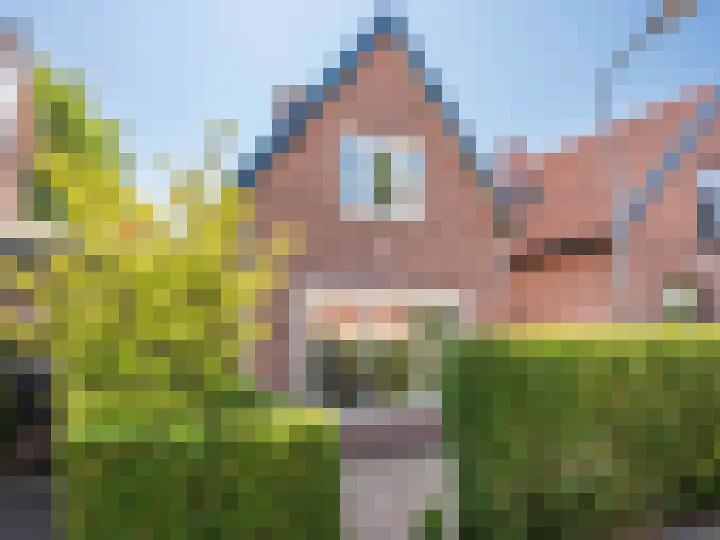 Karel de Grotelaan 32 Bergen (NH) thumbnail 20
