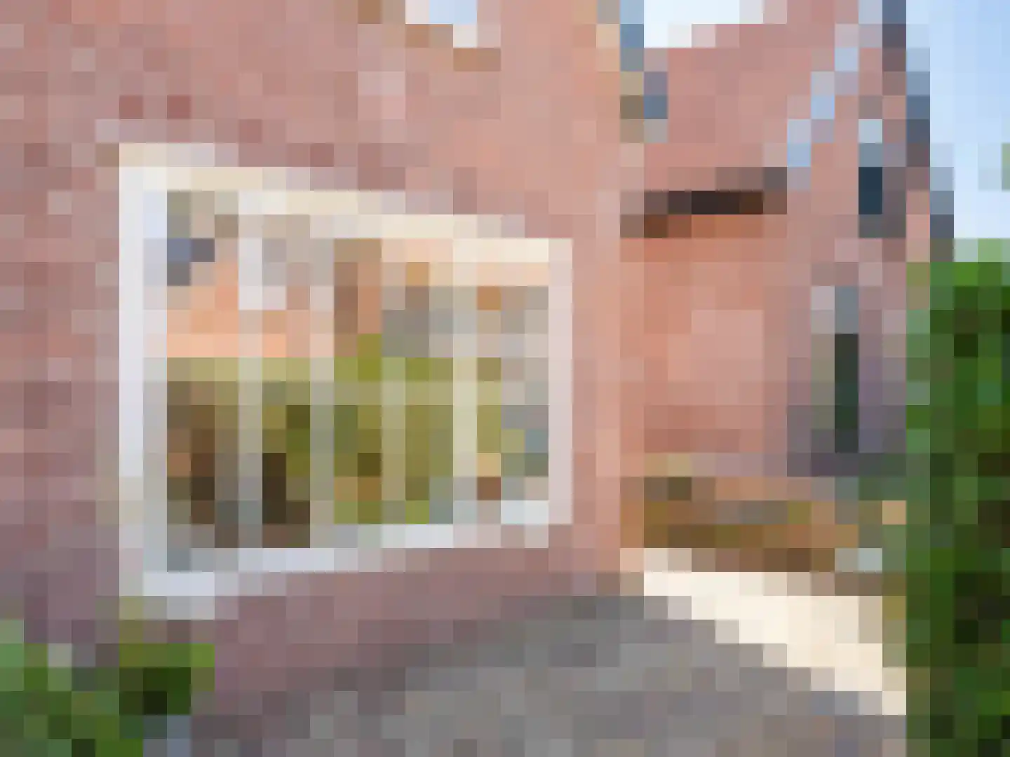 Karel de Grotelaan 32 Bergen (NH) thumbnail 24