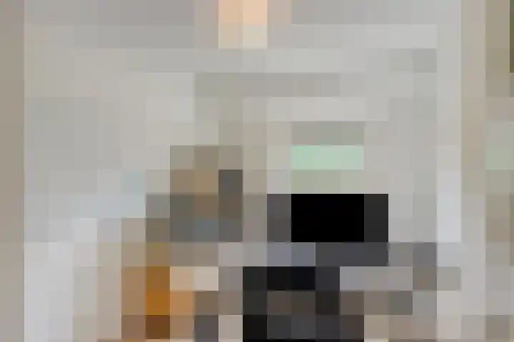 Karel de Grotelaan 321 Deventer thumbnail 13