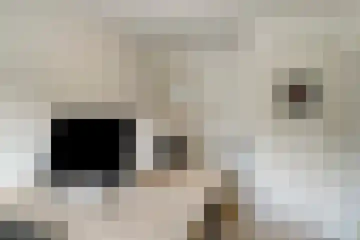 Karel de Grotelaan 321 Deventer thumbnail 14