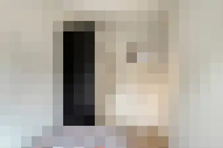 Karel de Grotelaan 321 Deventer thumbnail 16