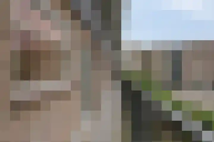 Karel de Grotelaan 321 Deventer thumbnail 20