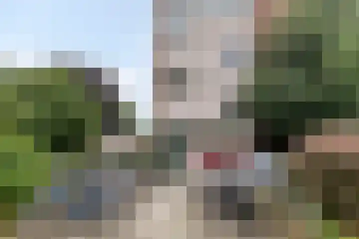Karel de Grotelaan 321 Deventer thumbnail 22