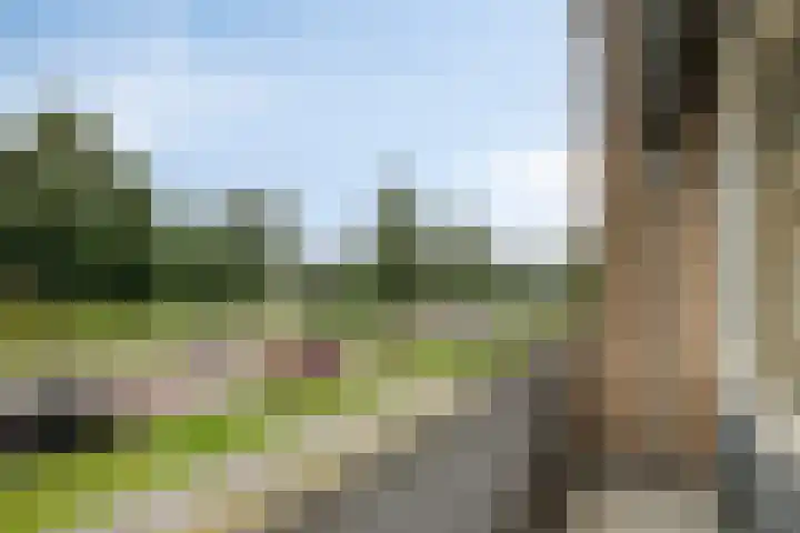 Karel de Grotelaan 321 Deventer thumbnail 4