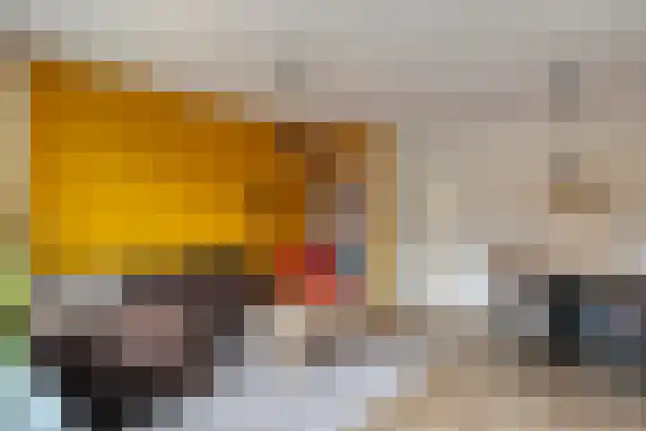 Karel de Grotelaan 321 Deventer thumbnail 5