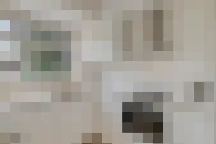 Karel de Grotelaan 321 Deventer thumbnail 7