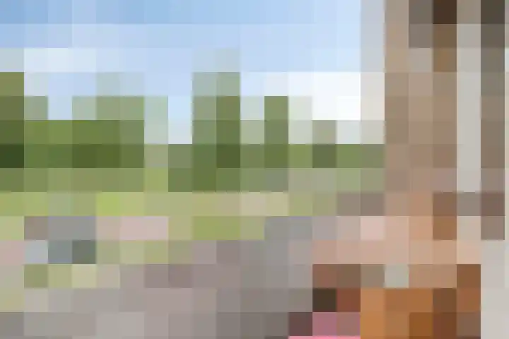 Karel de Grotelaan 323 Deventer thumbnail 24