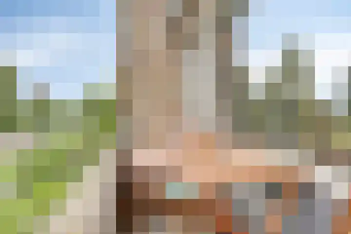 Karel de Grotelaan 323 Deventer thumbnail 25