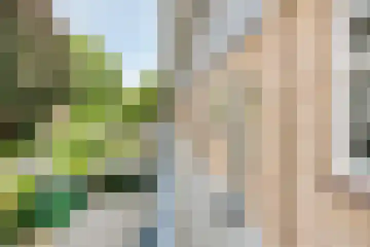Karel de Grotelaan 323 Deventer thumbnail 4
