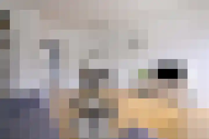 Karel de Grotelaan 325 Deventer thumbnail 11