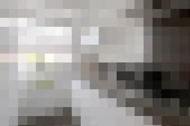 Karel de Grotelaan 325 Deventer thumbnail 12