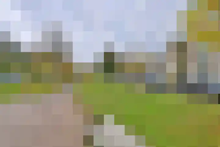 Karel de Grotelaan 325 Deventer thumbnail 32