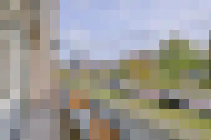 Karel de Grotelaan 325 Deventer thumbnail 6