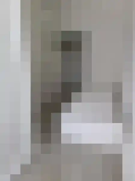 Karel de Grotelaan 325 Eindhoven thumbnail 4