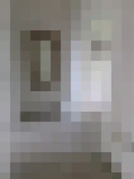 Karel de Grotelaan 325 Eindhoven thumbnail 5