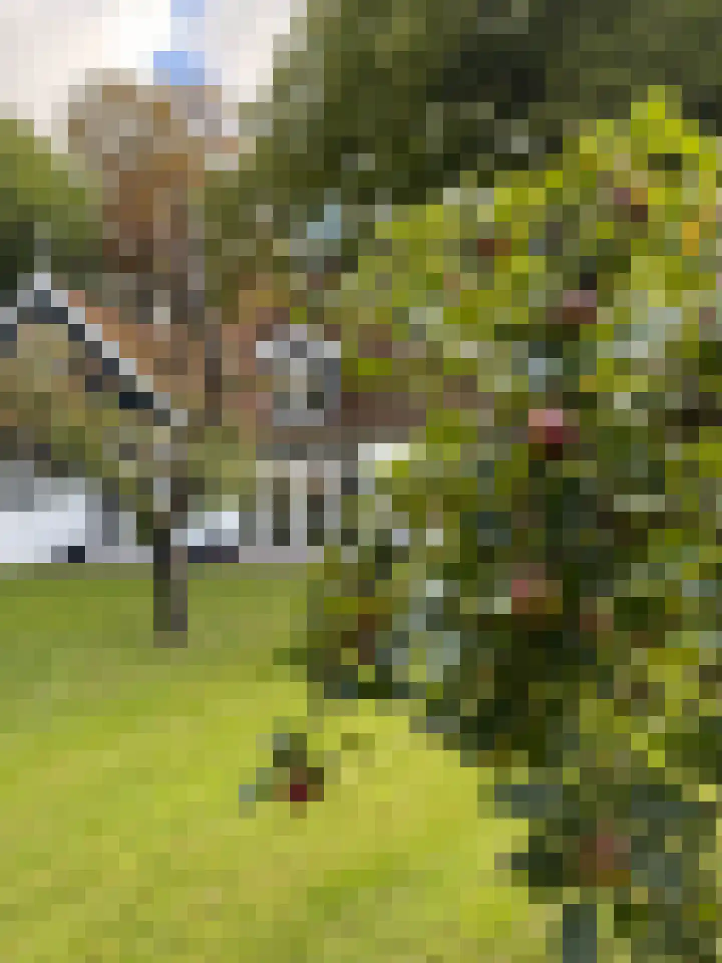 Karel de Grotelaan 33 Bergen (NH) thumbnail 52