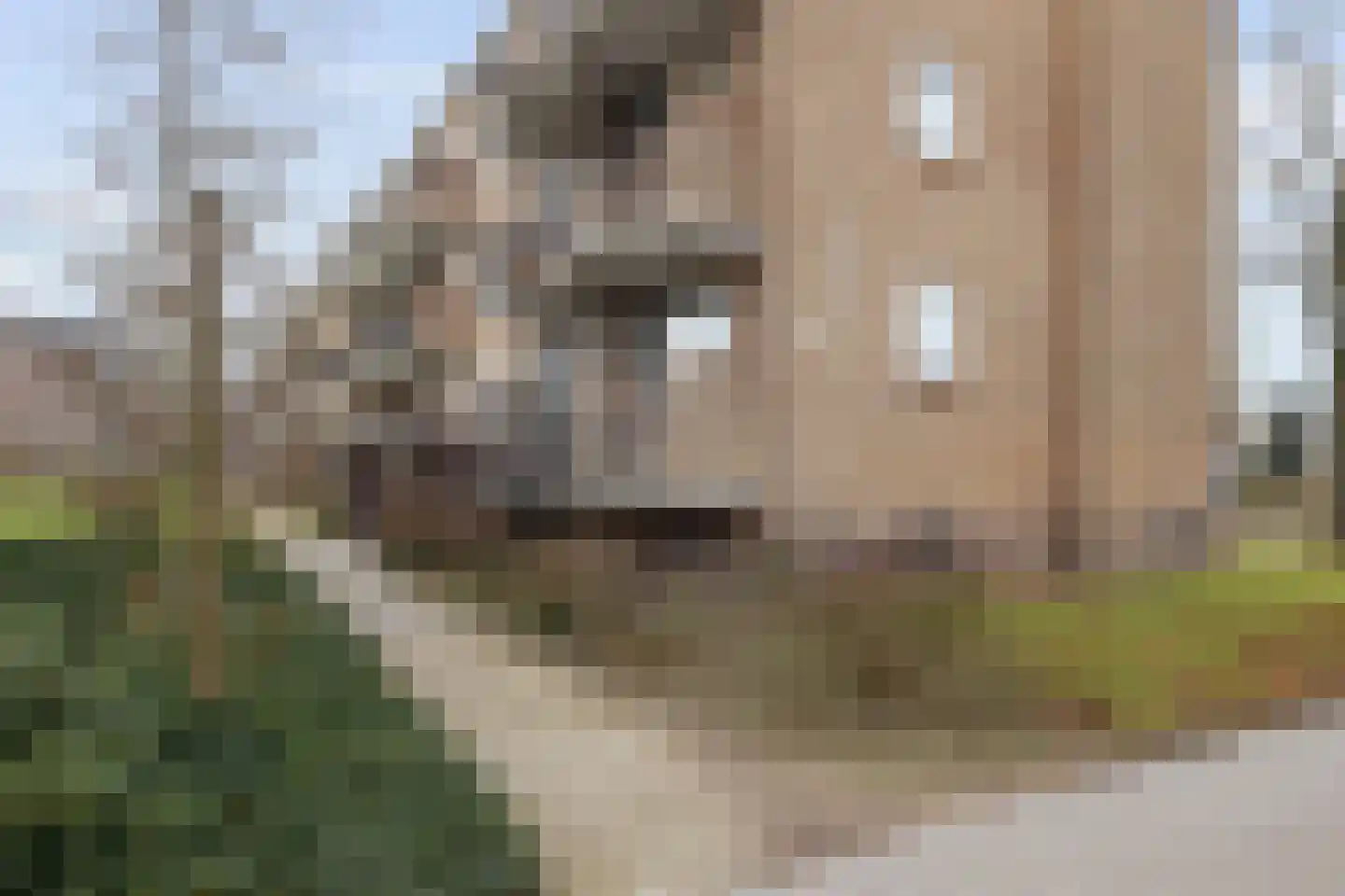 Karel de Grotelaan 49 Eindhoven thumbnail 30
