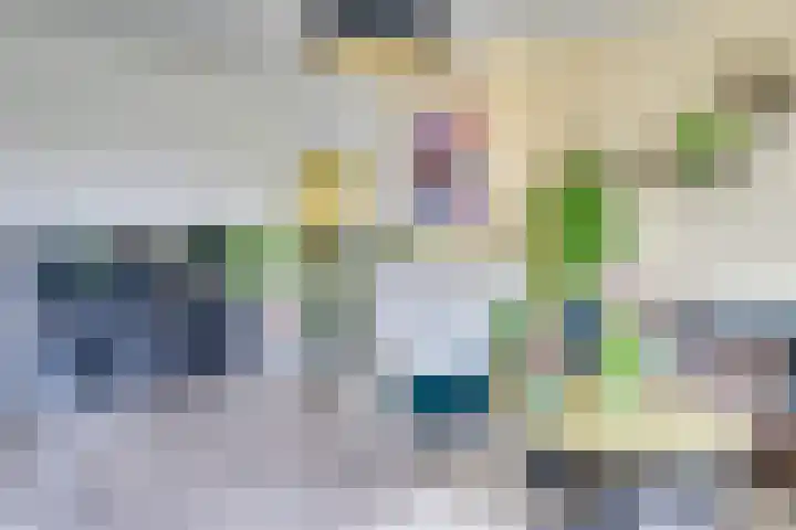 Karel de Grotelaan 71 Eindhoven thumbnail 13