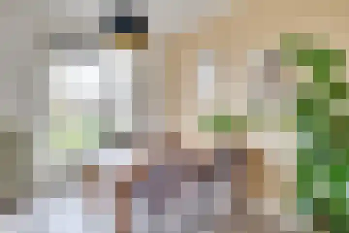 Karel de Grotelaan 71 Eindhoven thumbnail 19
