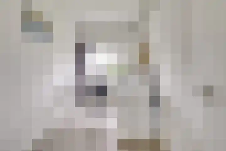 Karel de Grotelaan 71 Eindhoven thumbnail 24