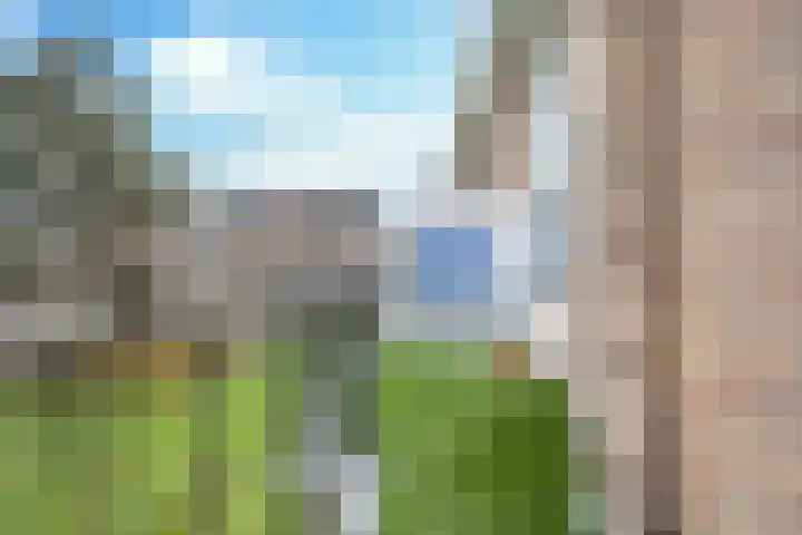 Karel de Grotelaan 71 Eindhoven thumbnail 31
