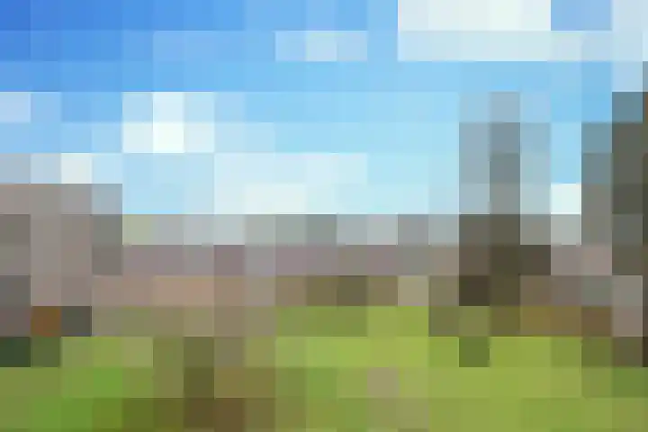 Karel de Grotelaan 71 Eindhoven thumbnail 33