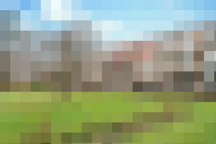 Karel de Grotelaan 71 Eindhoven thumbnail 34
