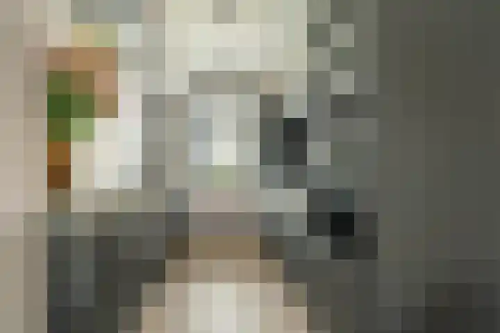 Karel de Grotelaan 72 Rijnsburg thumbnail 10