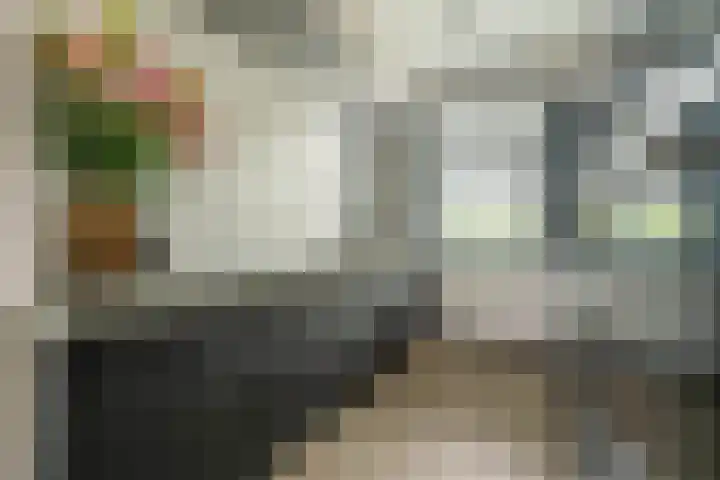 Karel de Grotelaan 72 Rijnsburg thumbnail 11