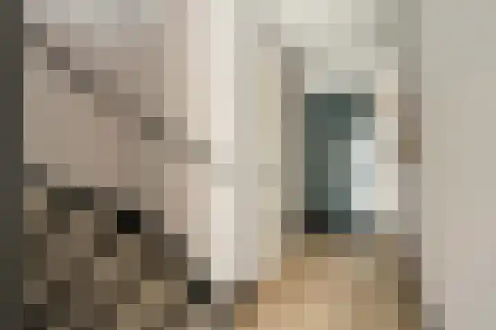 Karel de Grotelaan 72 Rijnsburg thumbnail 15