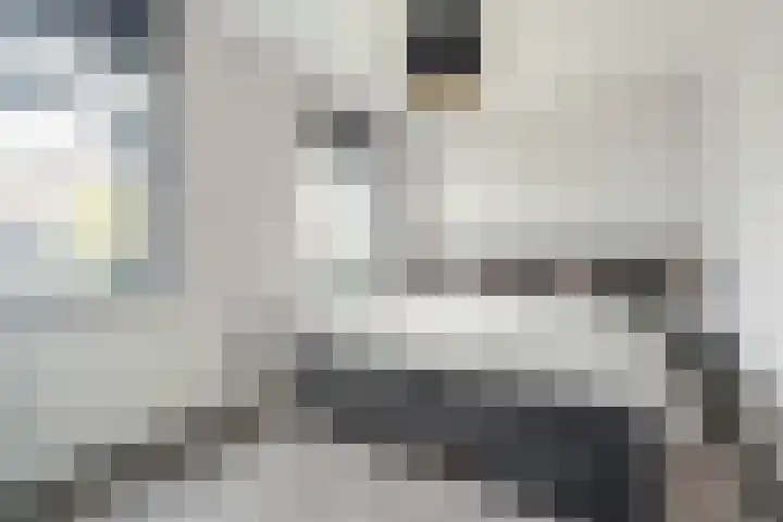 Karel de Grotelaan 72 Rijnsburg thumbnail 18