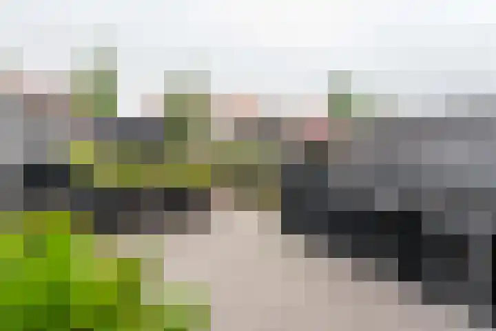 Karel de Grotelaan 72 Rijnsburg thumbnail 29