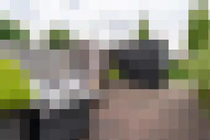 Karel de Grotelaan 72 Rijnsburg thumbnail 30