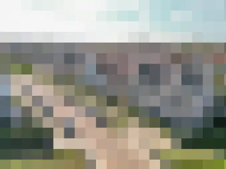 Karel de Grotelaan 72 Rijnsburg thumbnail 33