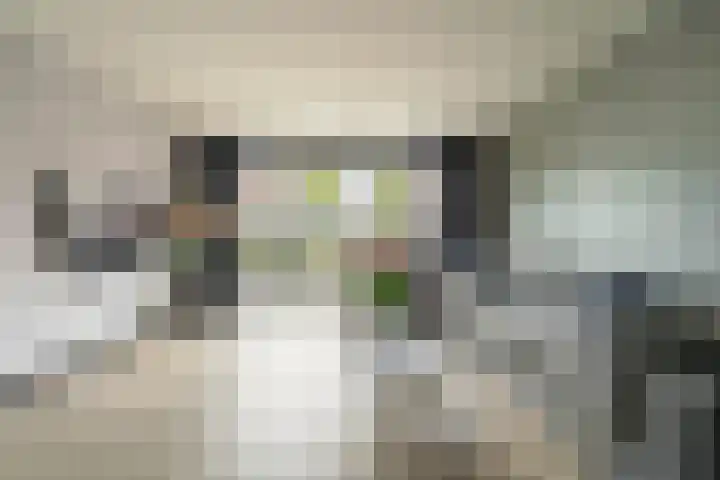 Karel de Grotelaan 72 Rijnsburg thumbnail 4