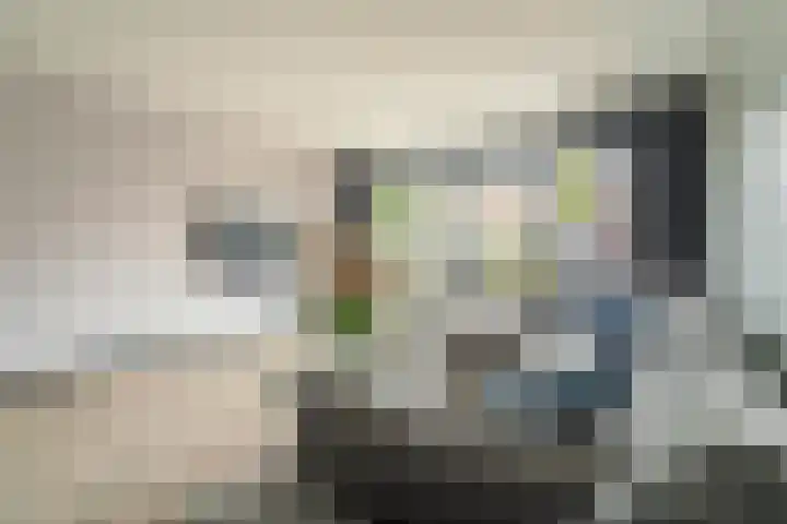 Karel de Grotelaan 72 Rijnsburg thumbnail 5