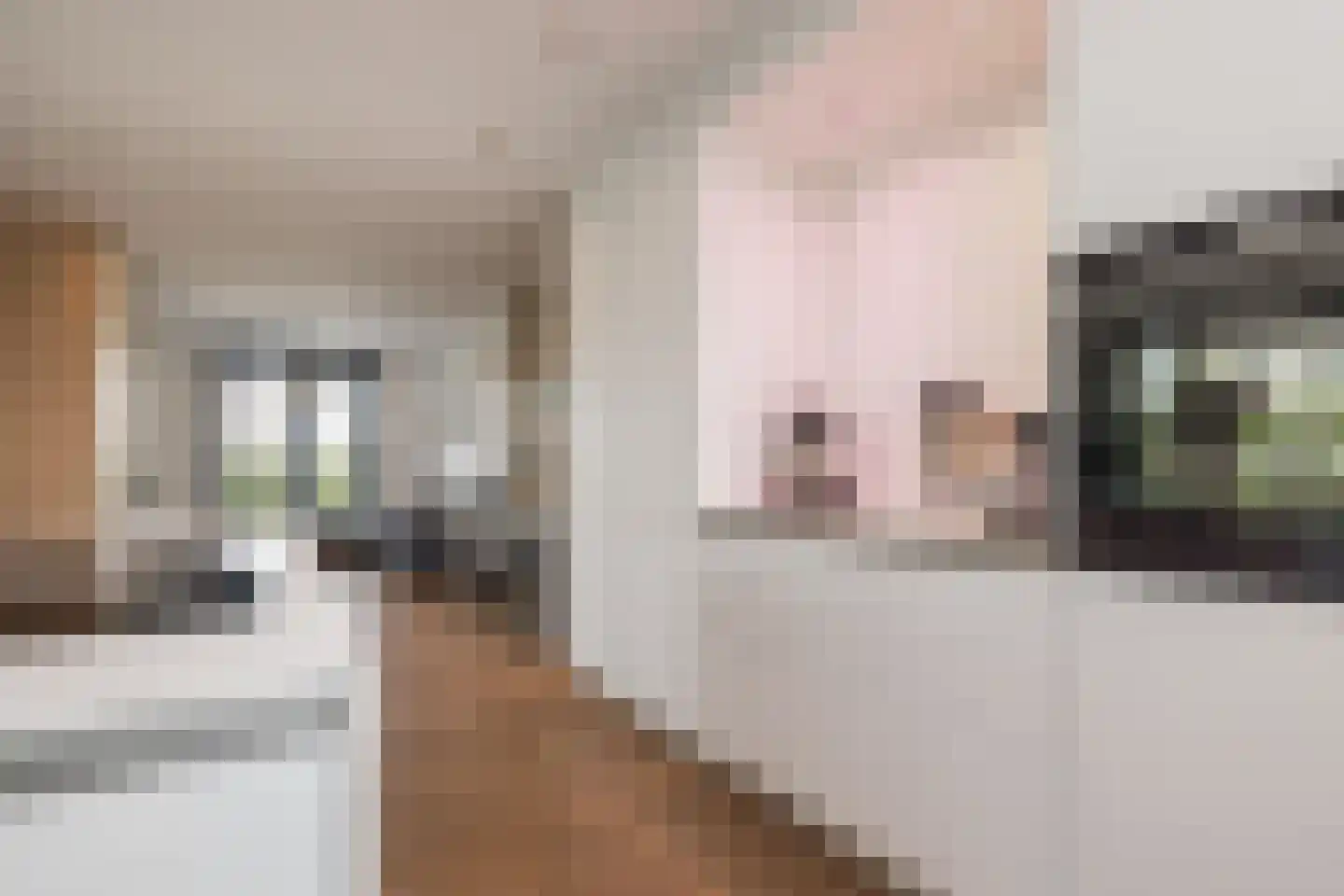 Karel de Grotelaan 73 Rijnsburg thumbnail 17
