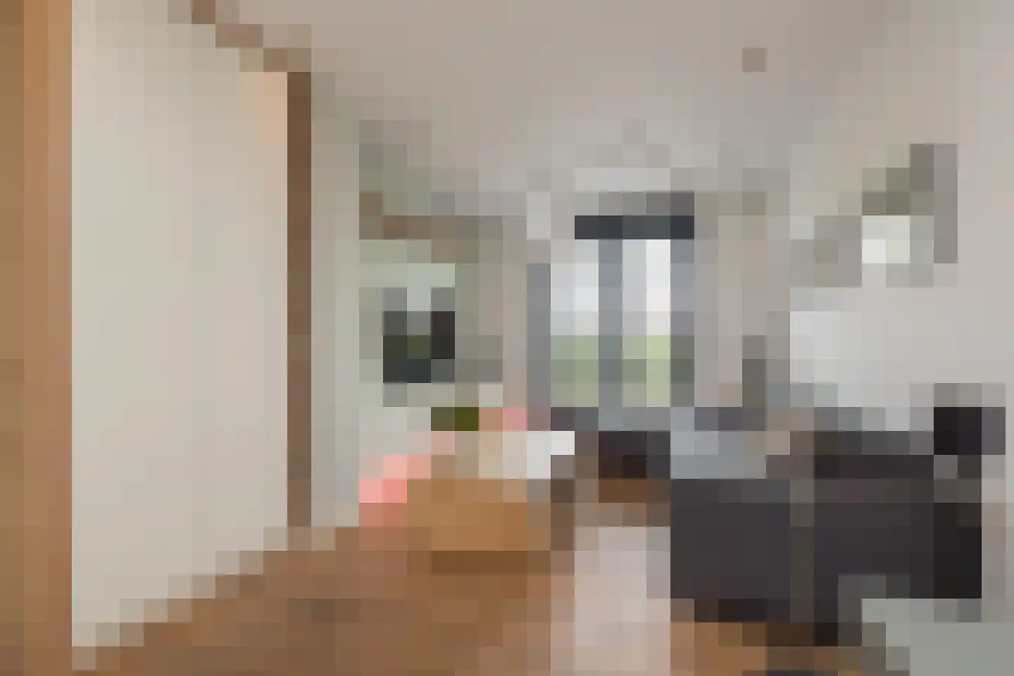 Karel de Grotelaan 73 Rijnsburg thumbnail 19