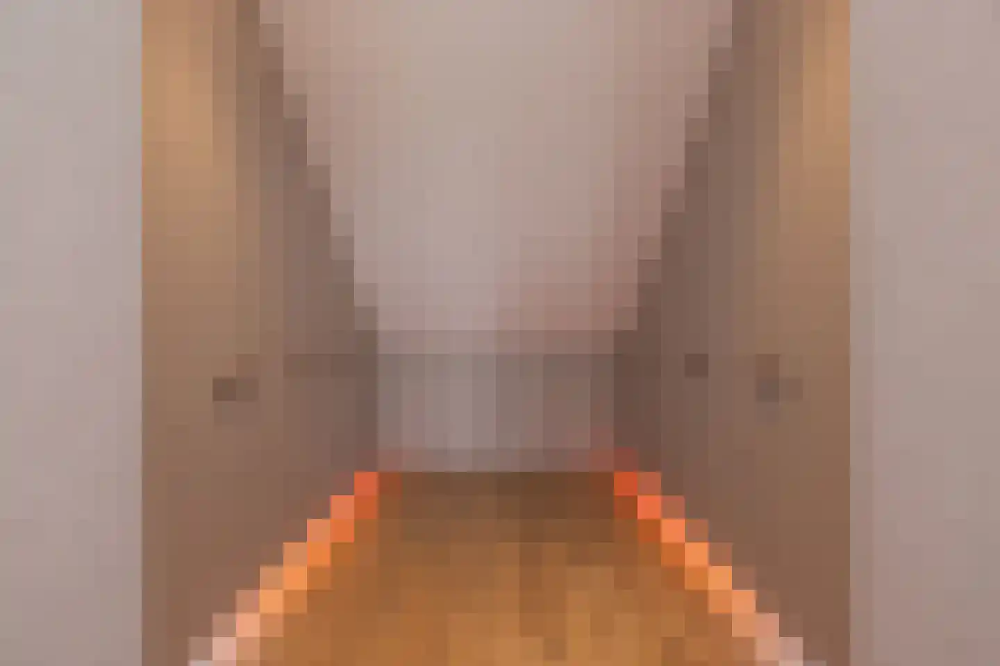 Karel de Grotelaan 73 Rijnsburg thumbnail 37