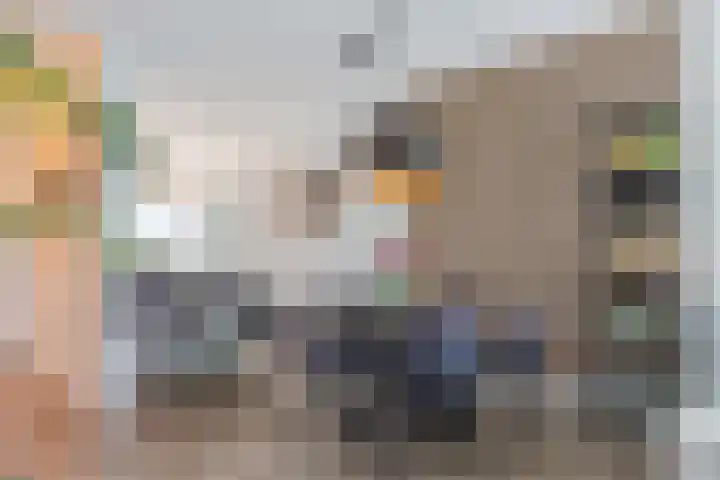 Karel de Grotelaan 78 Rijnsburg thumbnail 13